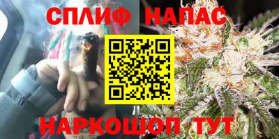герыч Камышлов