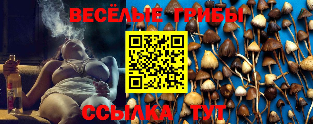 Псилоцибиновые грибы мицелий  Вход с VPN  Галлюциногенные грибы ЛСД  Северодвинск 